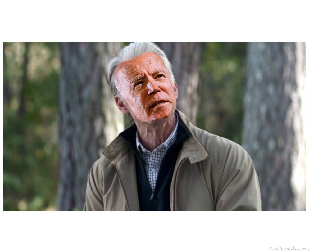 Joe Biden as steve rogers