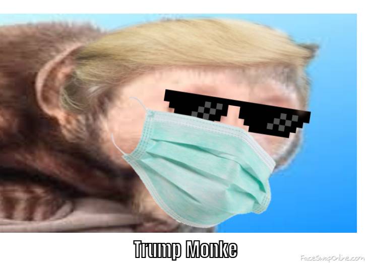 Trump Monke