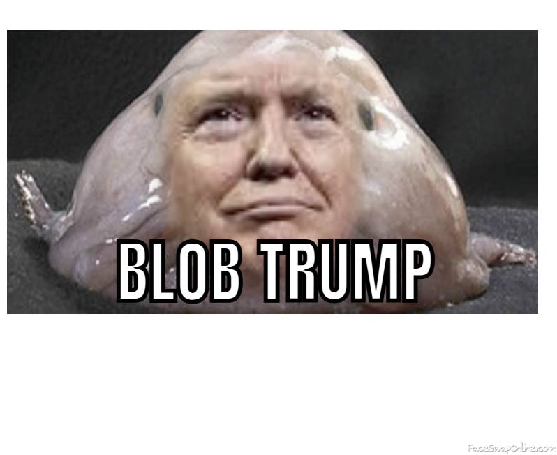 blob trump