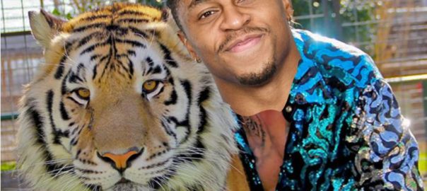 Taylor Tiger King