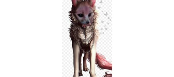 wolf drawing/ fennec fox.