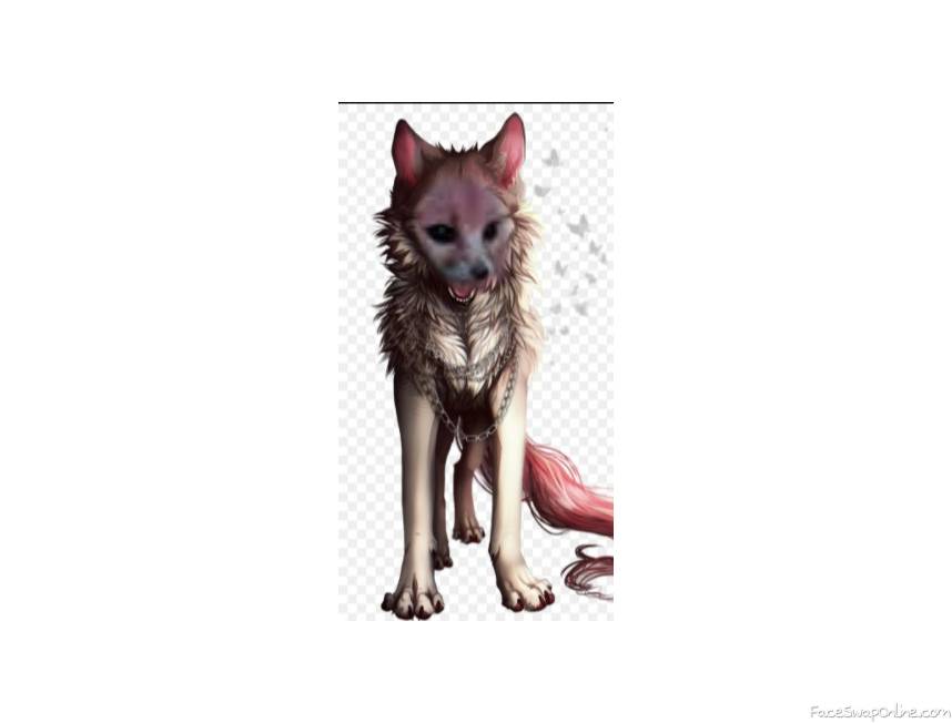 wolf drawing/ fennec fox.