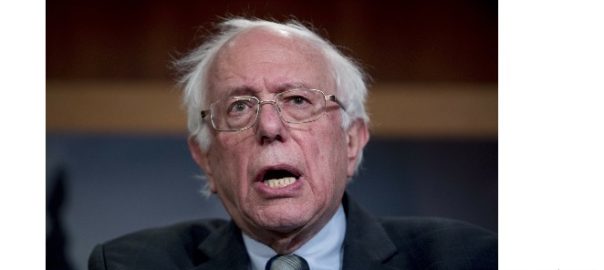 Feel the bern
