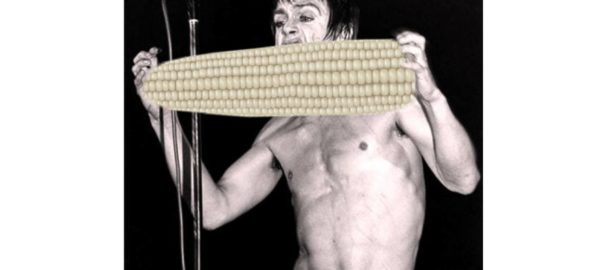 Iggy Cobb
