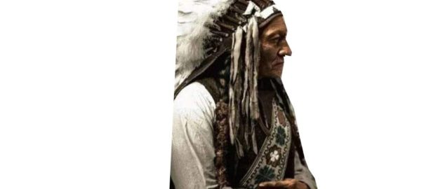 native