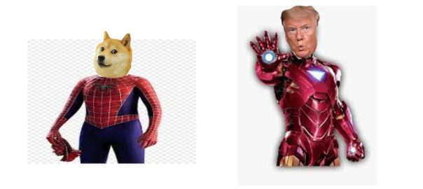 DOGE AND TRUMP