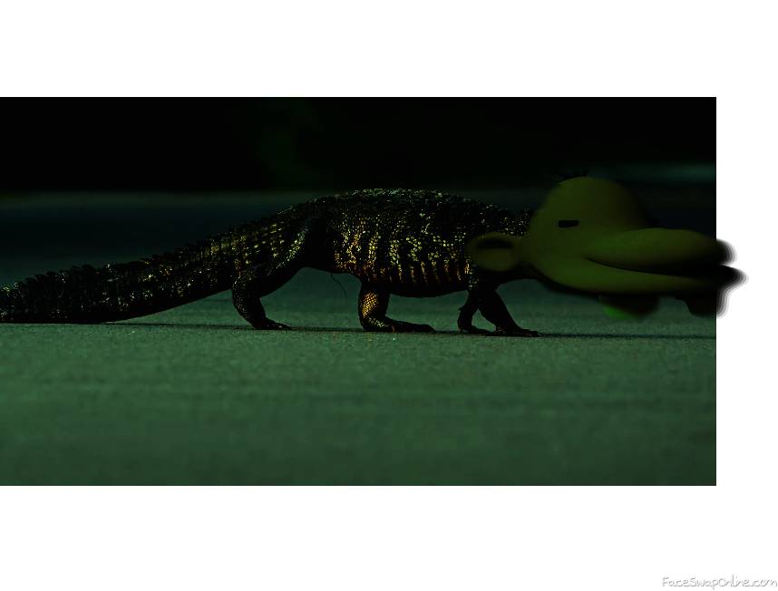 The American Alligator eats 50 people per year