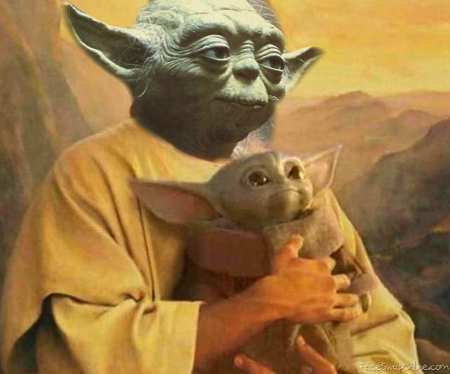 Baby Yoda's Mom
