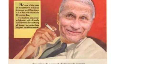 The Dr F