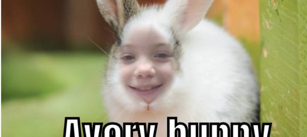 Avery bunny