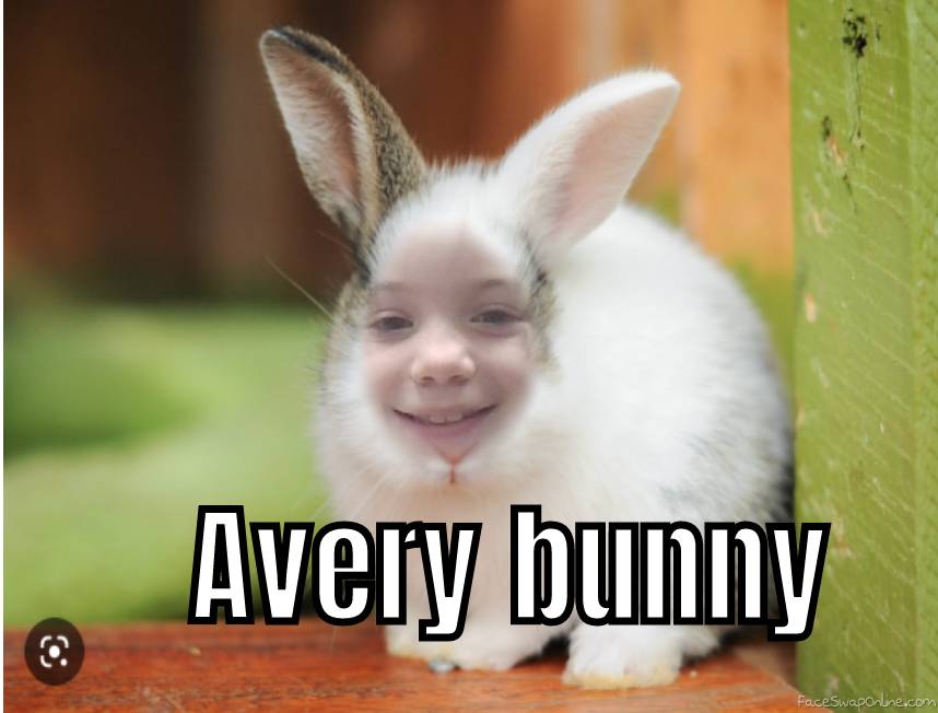 Avery bunny