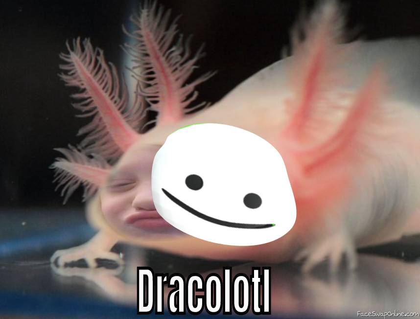 Dracolotl