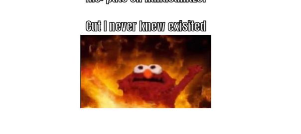 FuNnY cUrSeD eLmO mEme