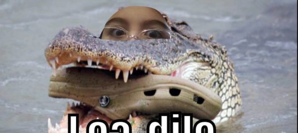 Lea-dile