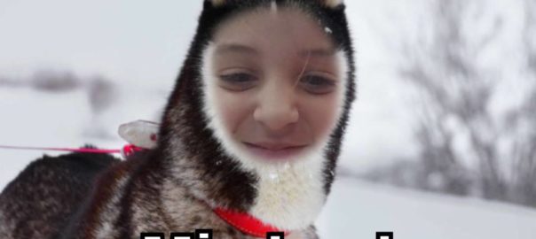 Mia husky