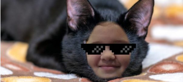 Rae Rae Cat