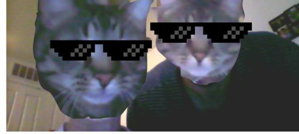the cats take over the world