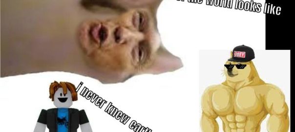 Doge vs Pop-trump vs bacon who believes pop-trump is angel