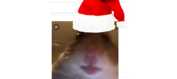 Merry Christmas from Hampter