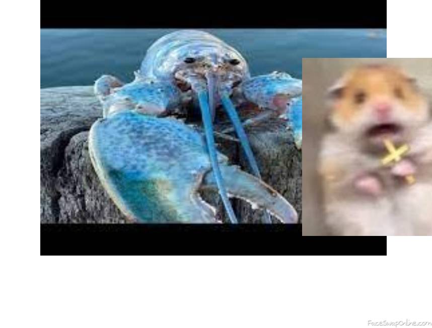 Me when i see blue lobster