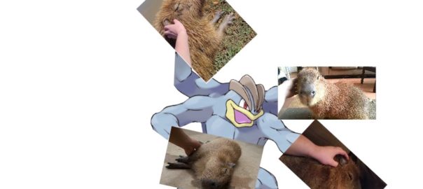 Petting capybaras