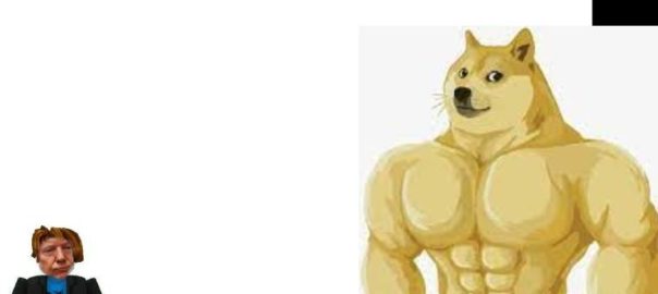 pov: u forgot to feed ur dog and ur cats amused