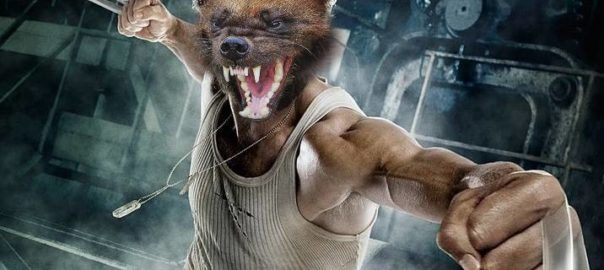 Wolverine animality