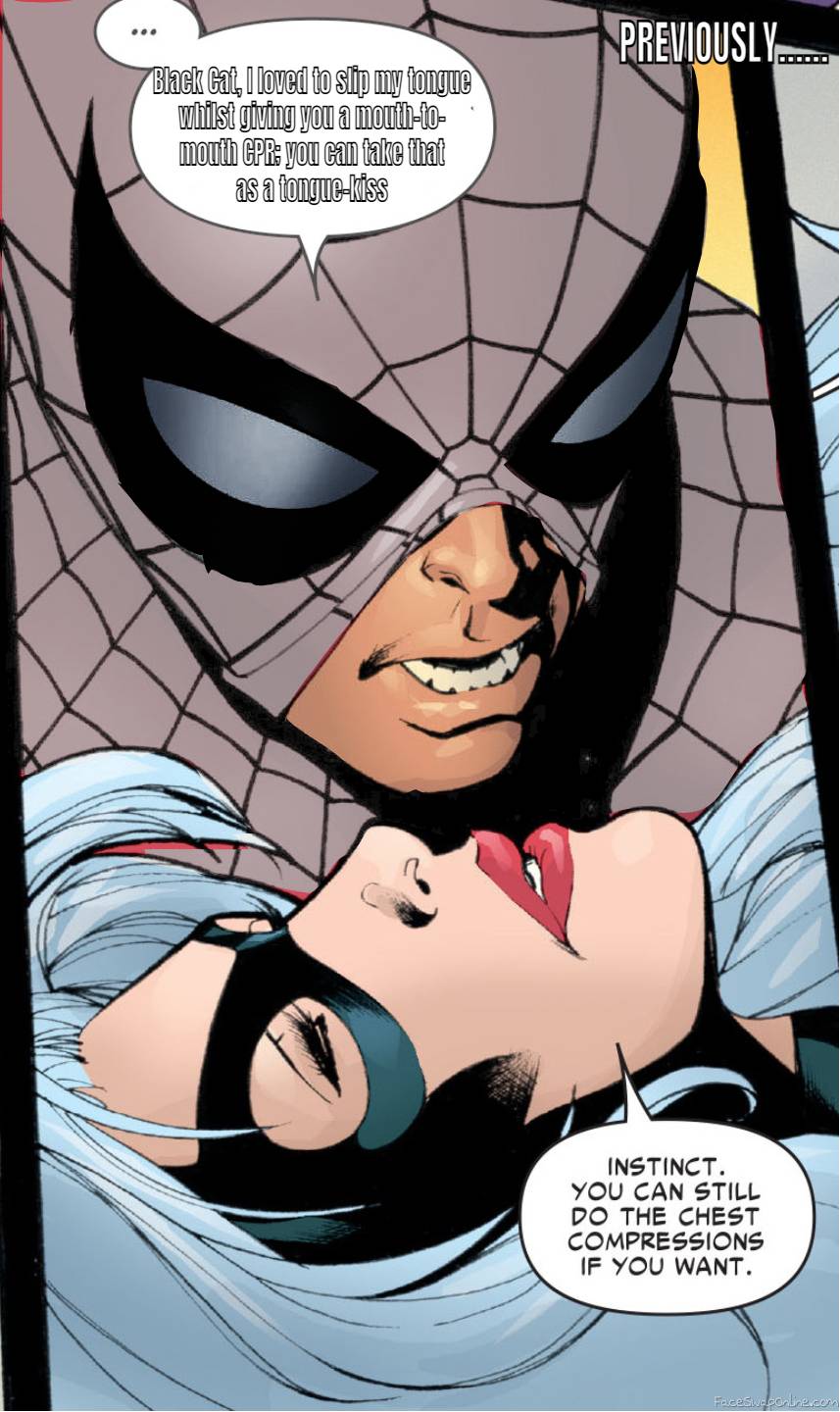 Spider-Man (Harry) and Black CAt