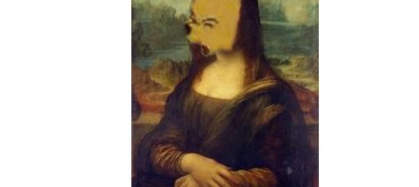 mona bear