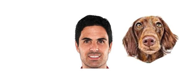 arteta