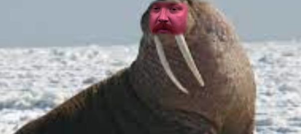 ae