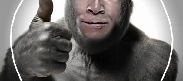 Dutch elections – Party for the Animals pt. 2 (mirror mugshot)