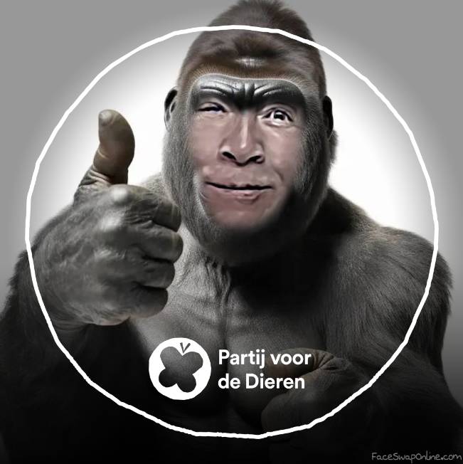 Dutch elections - Party for the Animals pt. 2 (mirror mugshot)
