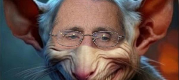 RATFINK FAUCI