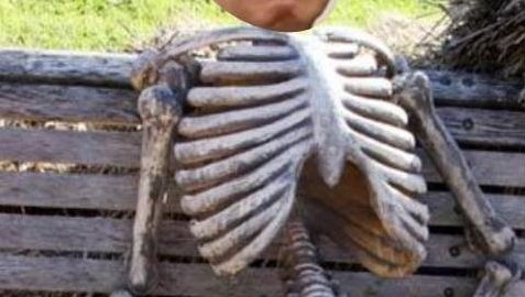Skeleton joe