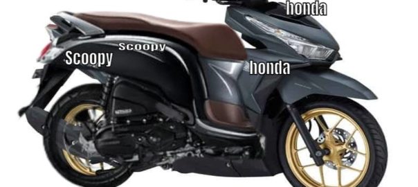 Honda Scoopy black