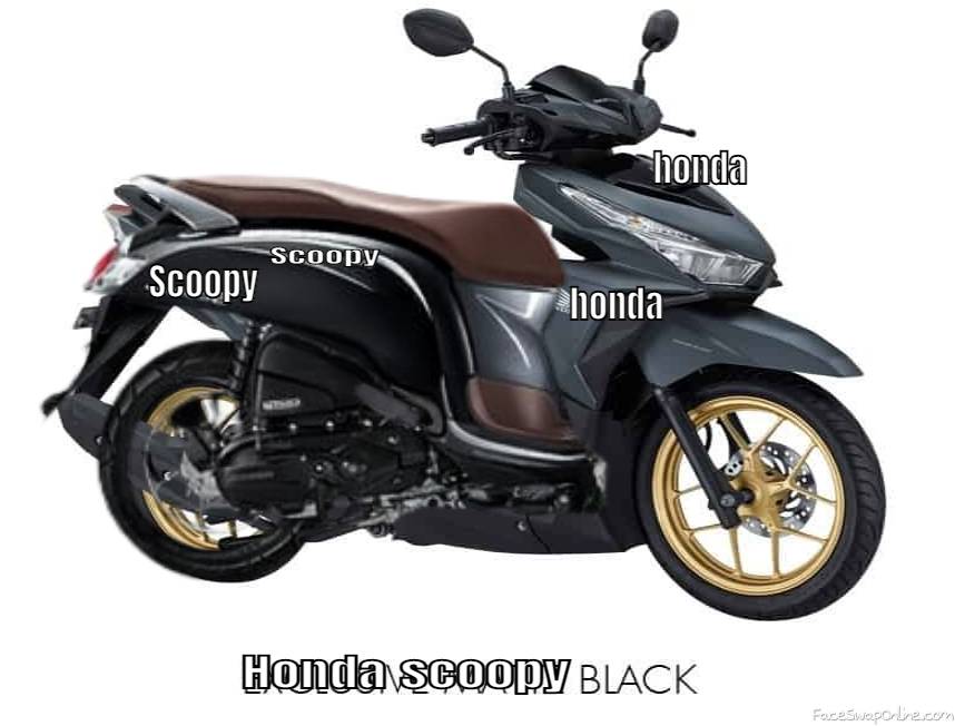 Honda Scoopy black