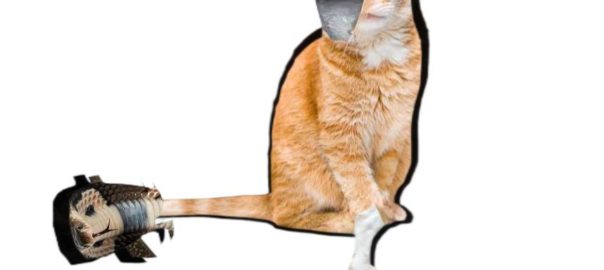 Manusia kucing2