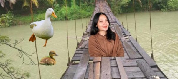 Asya Kejar bebek