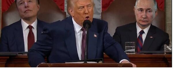 trump elon putin