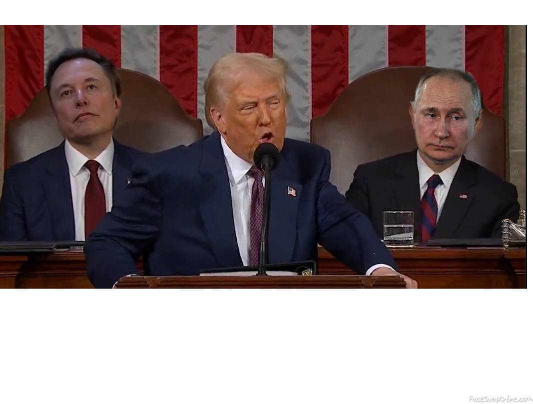 trump elon putin