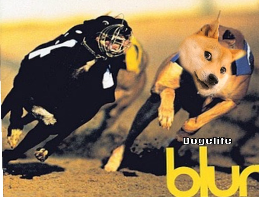 New album:dogelife