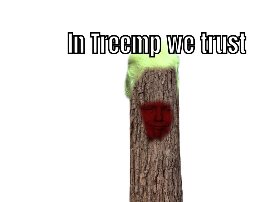 Donald Treemp