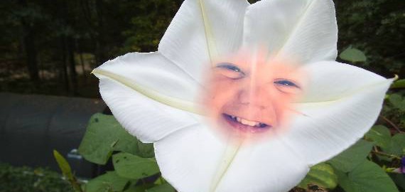 Flower power