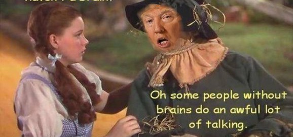 If Donald Only Had a Brain