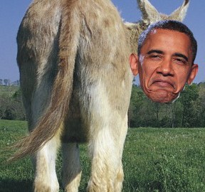 Obama-ass