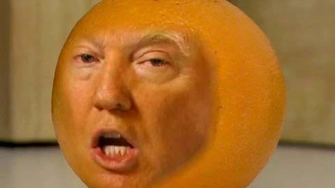 The Orange Politician