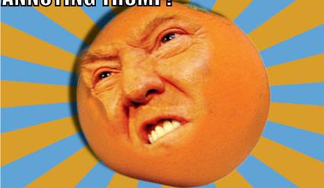 What I see