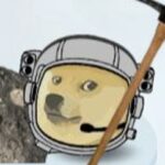 SpaceShibe3000 Avatar