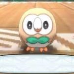 Spinning Rowletts